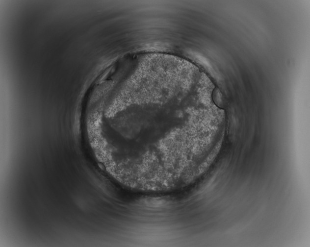 X0000094940299200712271618