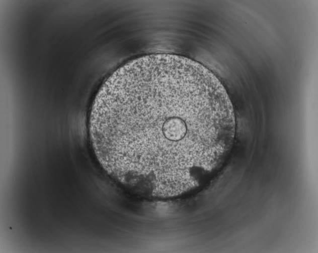 X0000094940302200712271618