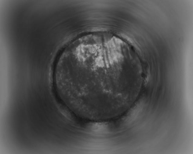 X0000094940303200712271618
