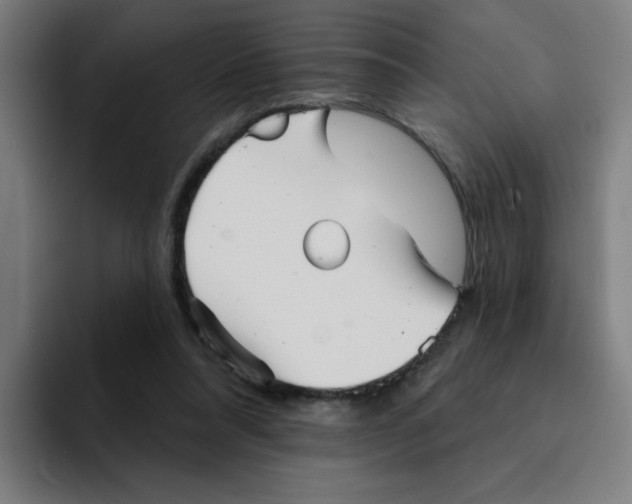 X0000094940304200712271618