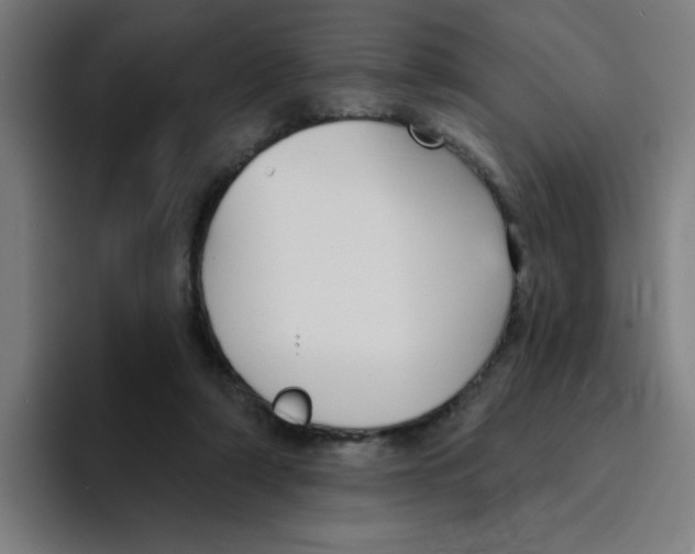 X0000094940306200712271618