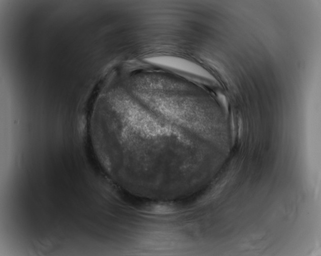 X0000094940308200712271618