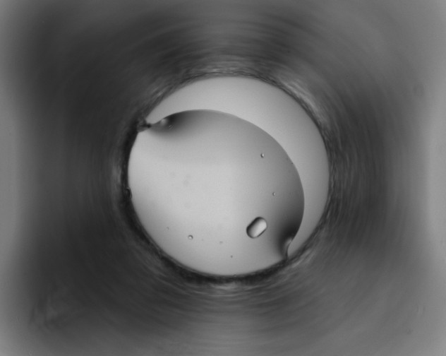 X0000094940309200712271618