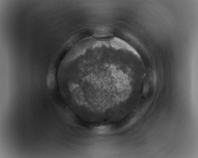 X0000094940312200712271618