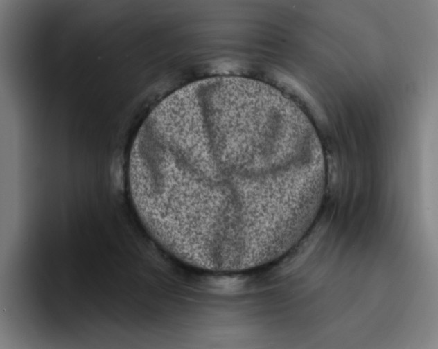X0000094940313200712271618