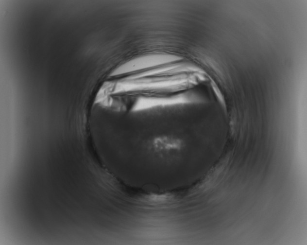 X0000094940314200712271618