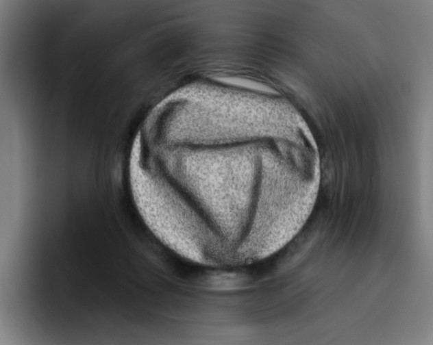 X0000094940315200712271618