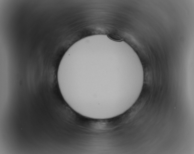 X0000094940318200712271618