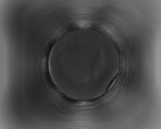 X0000094940319200712271618