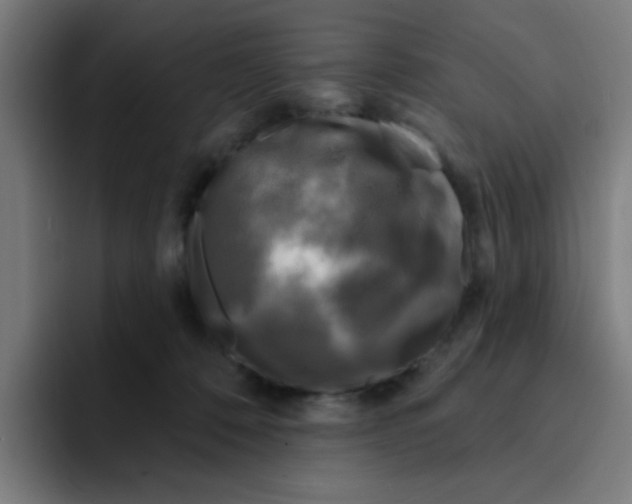 X0000094940320200712271618