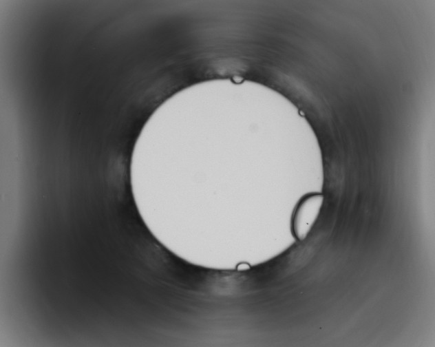 X0000094940321200712271618