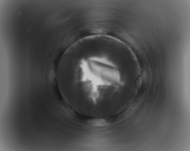 X0000094940322200712271618