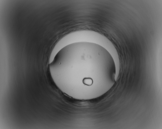 X0000094940324200712271618