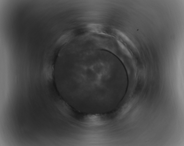X0000094940325200712271618