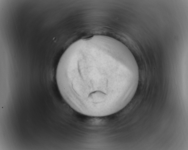 X0000094940326200712271618