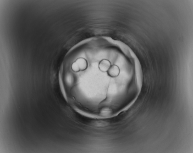 X0000094940327200712271618