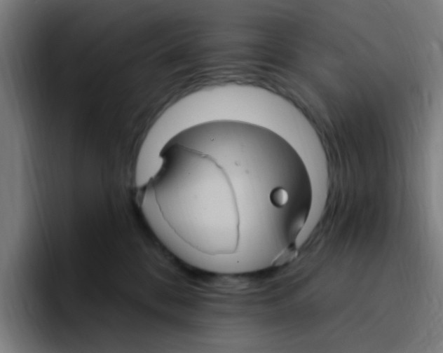 X0000094940328200712271618