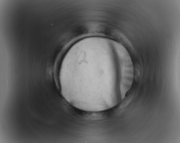 X0000094940329200712271618