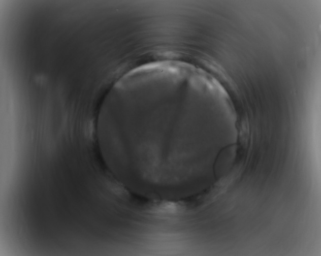 X0000094940330200712271618