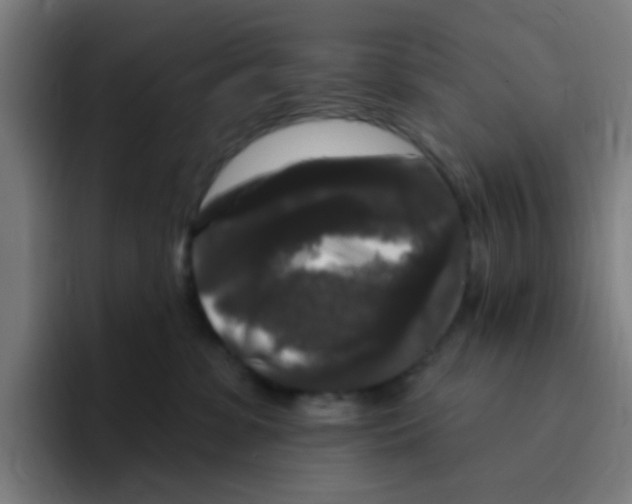 X0000094940331200712271618