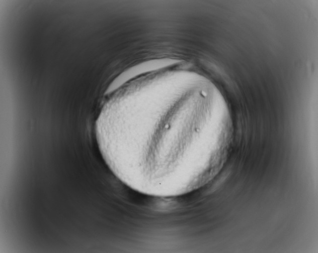 X0000094940333200712271618