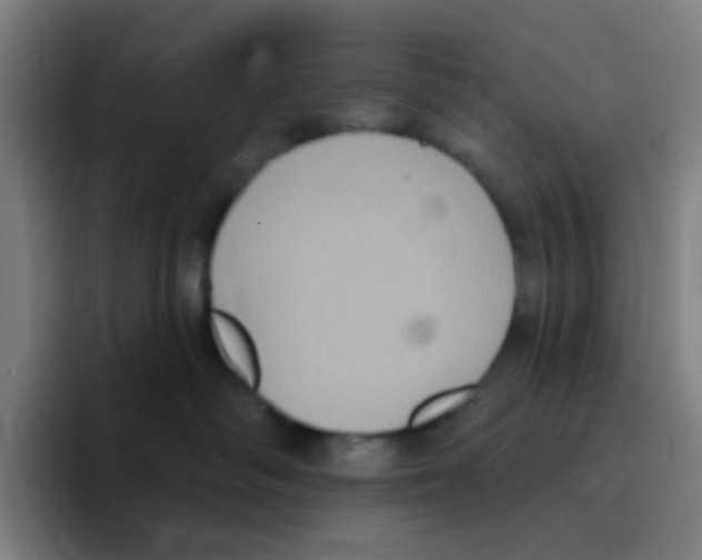 X0000094940334200712271618