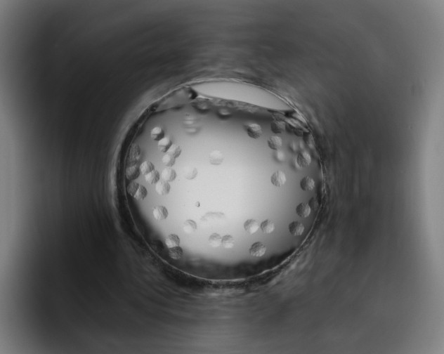X0000094940340200712271617