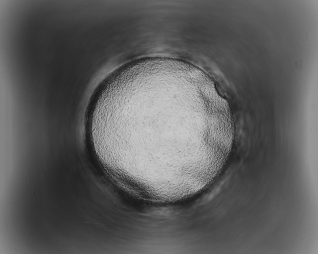 X0000094940344200712271617
