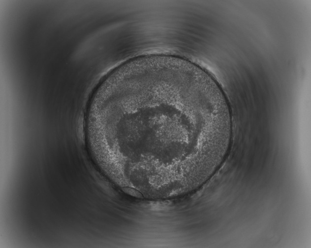 X0000094940345200712271617