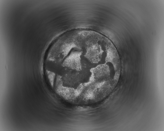 X0000094940346200712271617