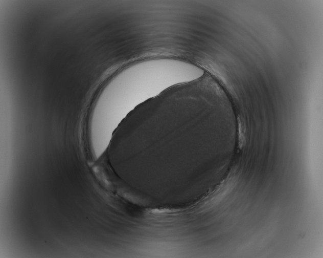 X0000094940348200712271617