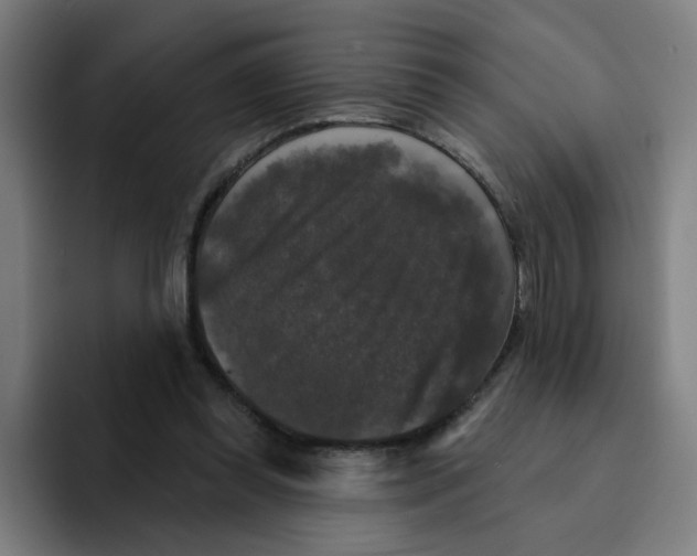 X0000094940349200712271617