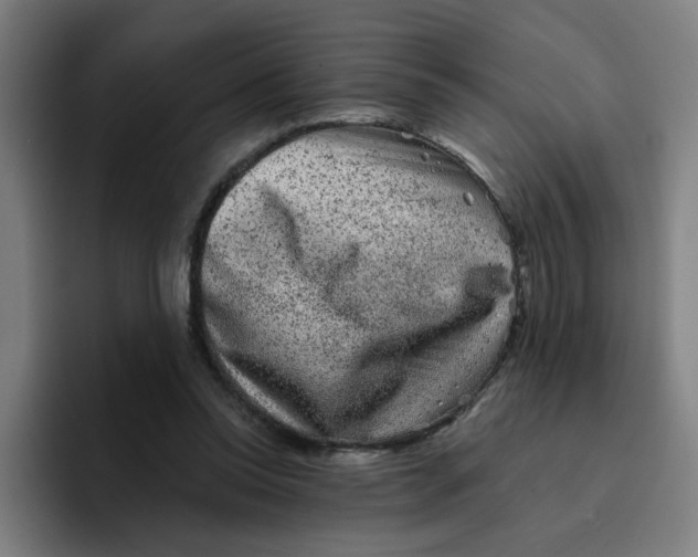 X0000094940350200712271617