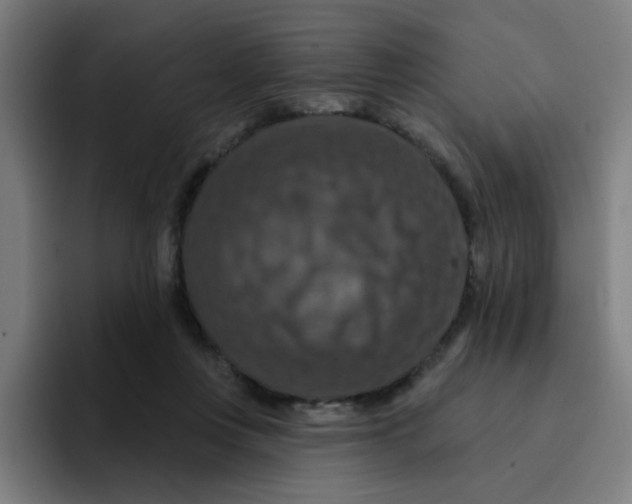 X0000094940359200712271617