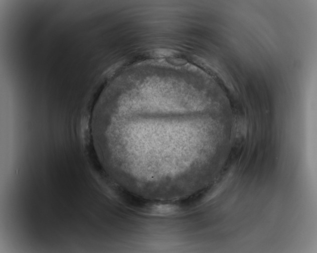 X0000094940360200712271617