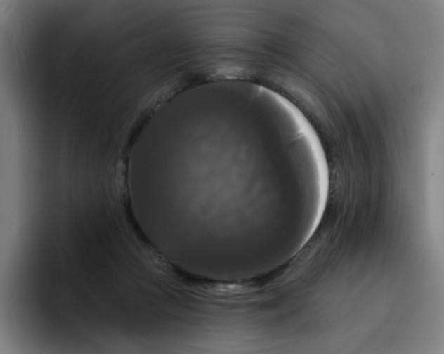 X0000094940361200712271617