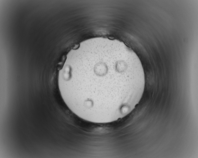 X0000094940364200712271617