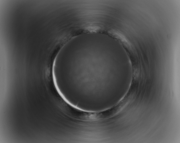X0000094940365200712271617