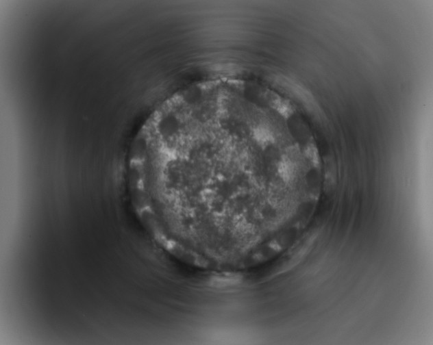 X0000094940369200712271618