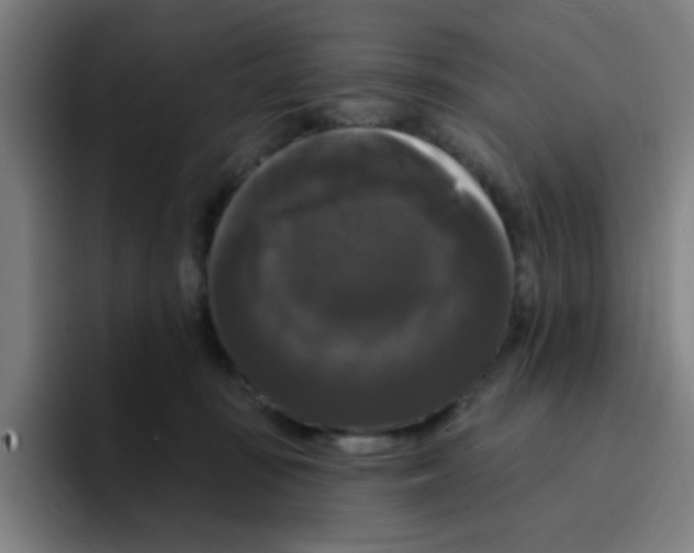 X0000094940371200712271618