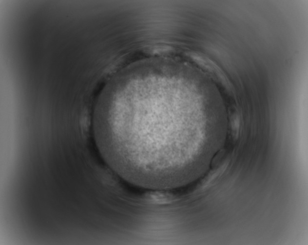 X0000094940372200712271618