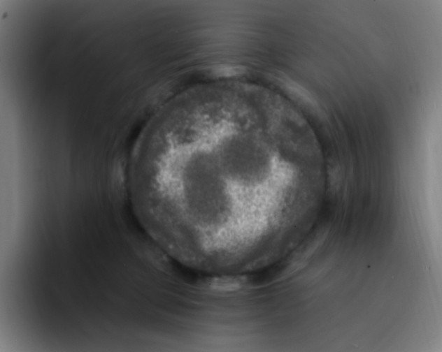 X0000094940373200712271618