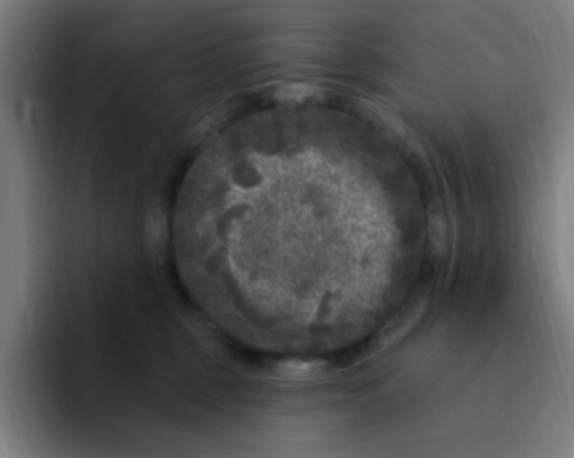 X0000094940375200712271618