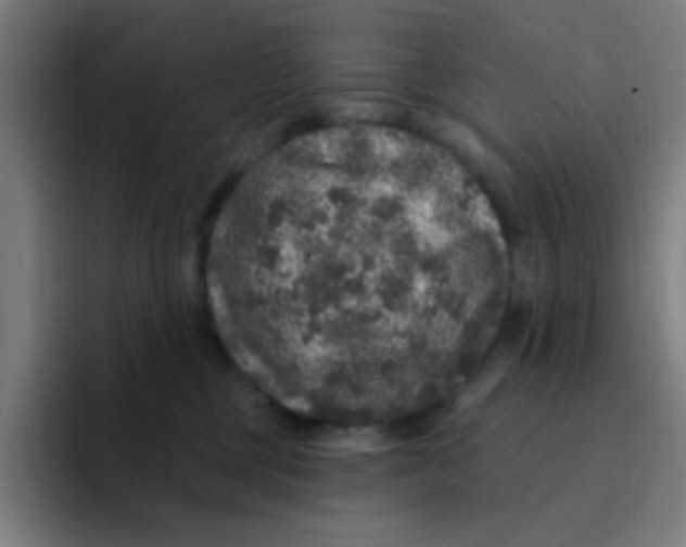 X0000094940377200712271618