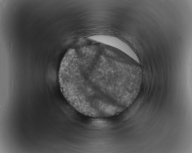 X0000094940380200712271618