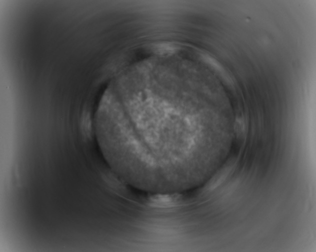 X0000094940381200712271618