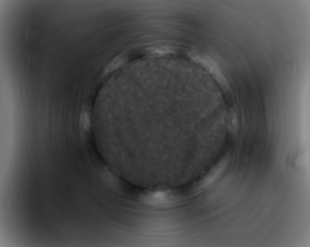 X0000094940382200712271618