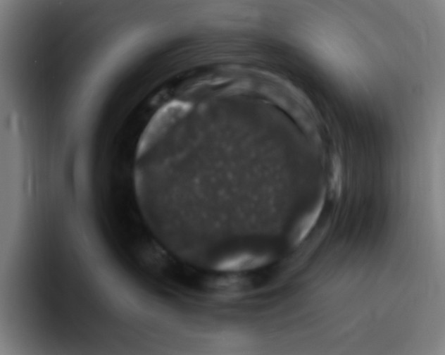X0000094940383200712271618