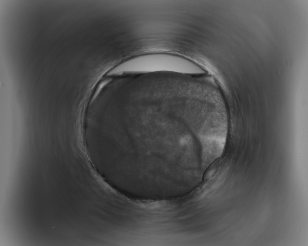 X0000094940385200712271617