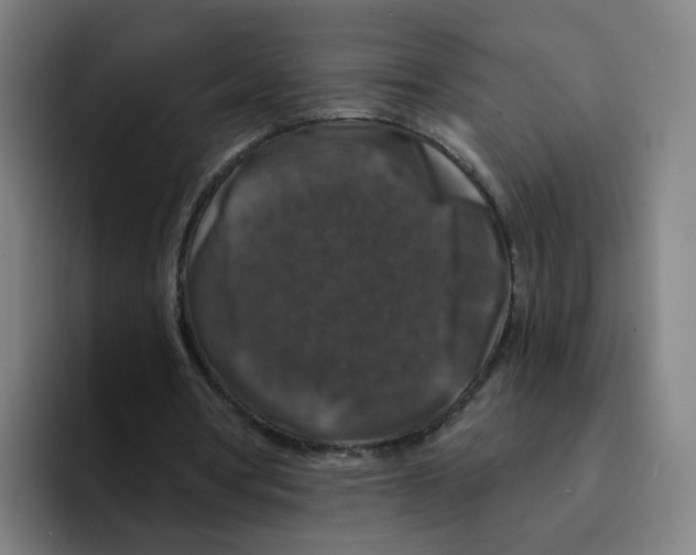 X0000094940386200712271617